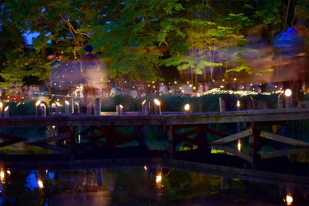 2023年 中井町 厳島湿生公園『竹灯篭の夕べ』5月20日（土）開催です！