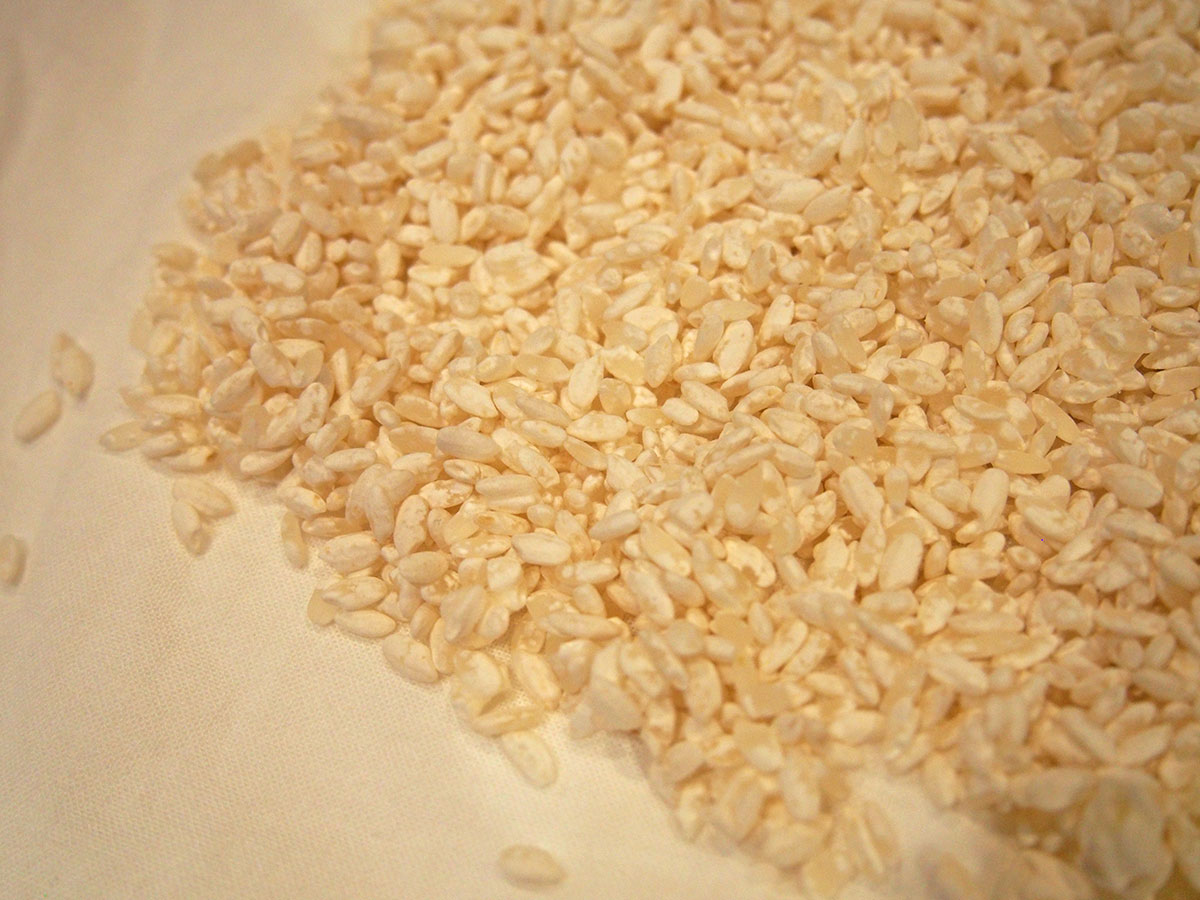 『はっこう大作戦』出来上がった米麹で甘酒作りに挑戦！