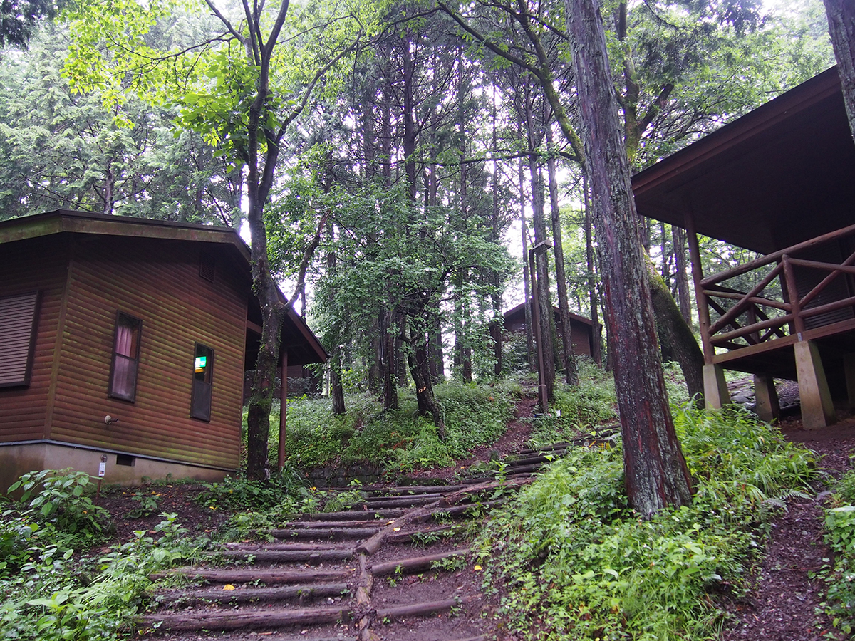 夏のキャンプも足柄で！「神奈川県立足柄ふれあいの村」で自然体験！
