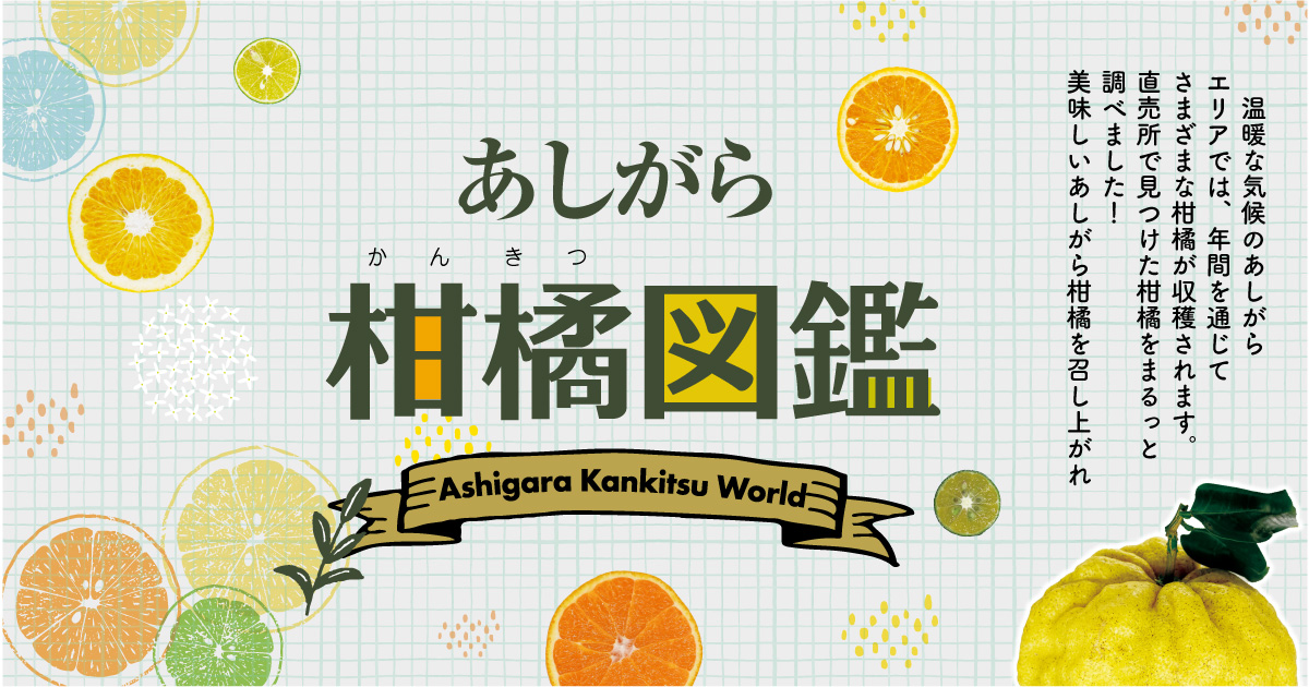 あしがら柑橘図鑑 Ashigara Kankitsu World アシガラッテ