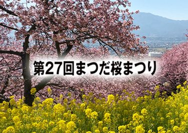 「まつだ桜まつり」2026年2月7日（土）から開催！