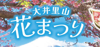 一足早い桜を見よう！　大井里山花まつり2026年2月14日（土）から開催！